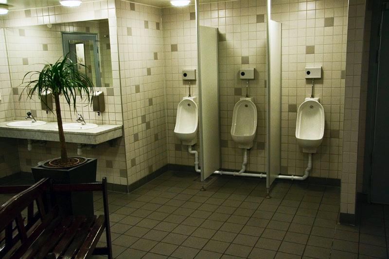 081110_8315.jpg - Och besöka den välskötta bekävmlighetsinrättningen. Det är absolut värt fem kronor att få komma in i denna oas och lätta sin blåsa. Nytta med nöje så att säga.